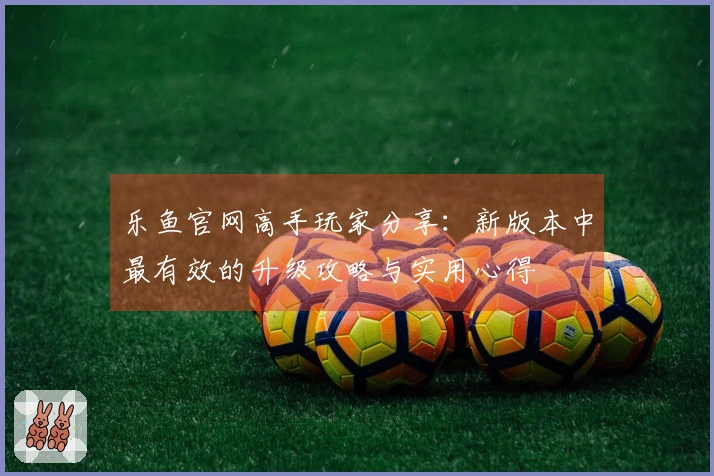乐鱼官网高手玩家分享:新版本中最有效的升级攻略与实用心得
