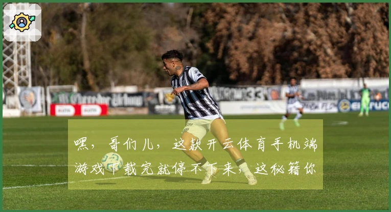 嘿，哥们儿，这款开云体育手机端游戏下载完就停不下来，这秘籍你一定要收好！